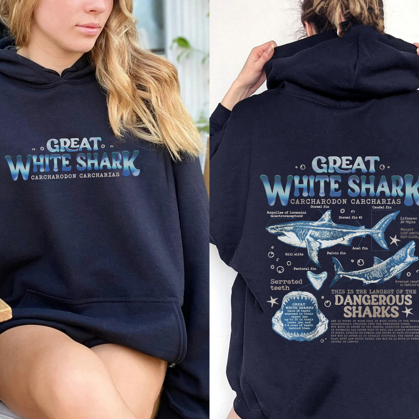 Great White Shark Anatomy Hoodie, Shark Hoodie, Great White Shark Biology, Great White Shark Drawing, Marine Biology Hoodie