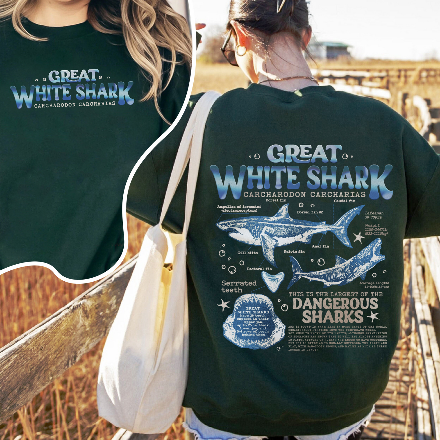 Great White Shark Anatomy Sweatshirt, Shark Sweatshirt, Great White Shark Biology, Great White Shark Drawing, Marine Biology Sweatshirt