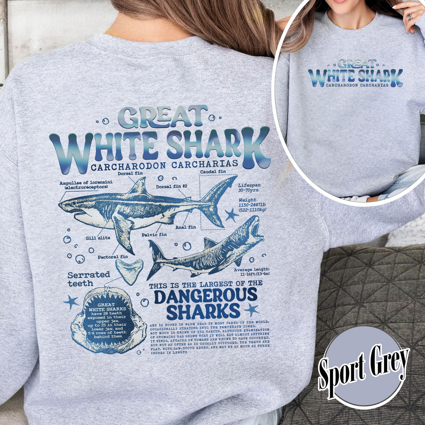 Great White Shark Anatomy Sweatshirt, Shark Sweatshirt, Great White Shark Biology, Great White Shark Drawing, Marine Biology Sweatshirt