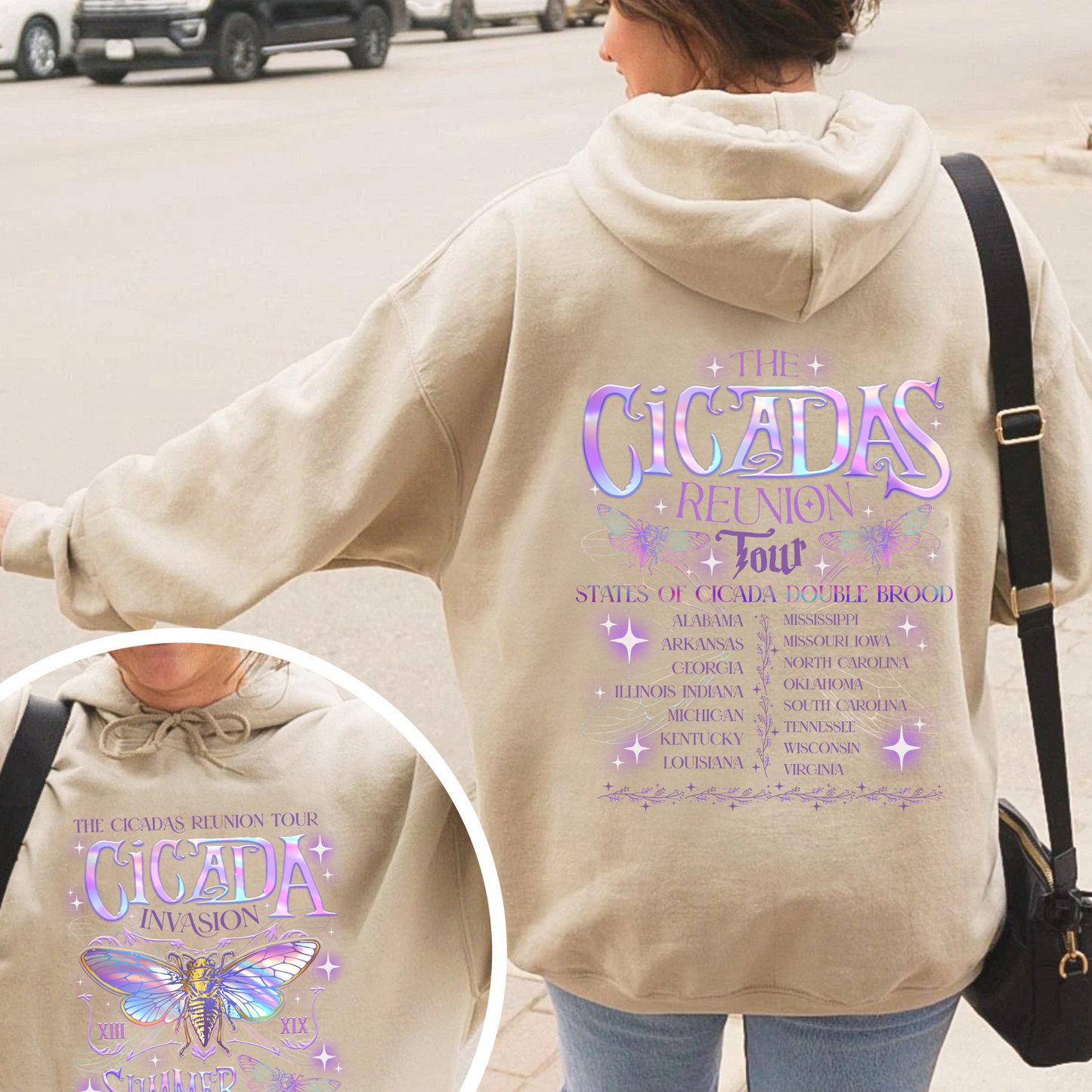 The Cicadas Reunion Tour Summer 2024 Hoodie, Year of the Cicada Hoodie, TNature Lover Gift, Year of the Cicada, Insect Lover