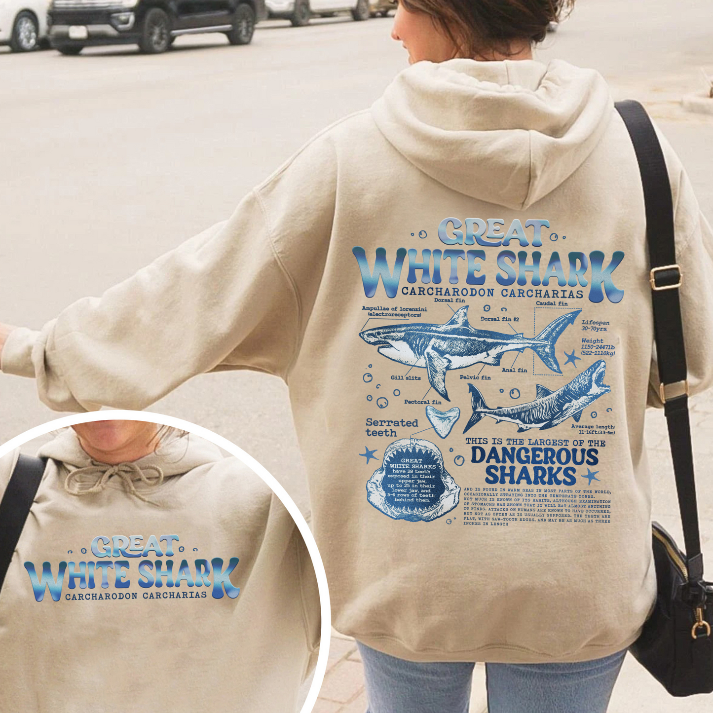 Great White Shark Anatomy Hoodie, Shark Hoodie, Great White Shark Biology, Great White Shark Drawing, Marine Biology Hoodie