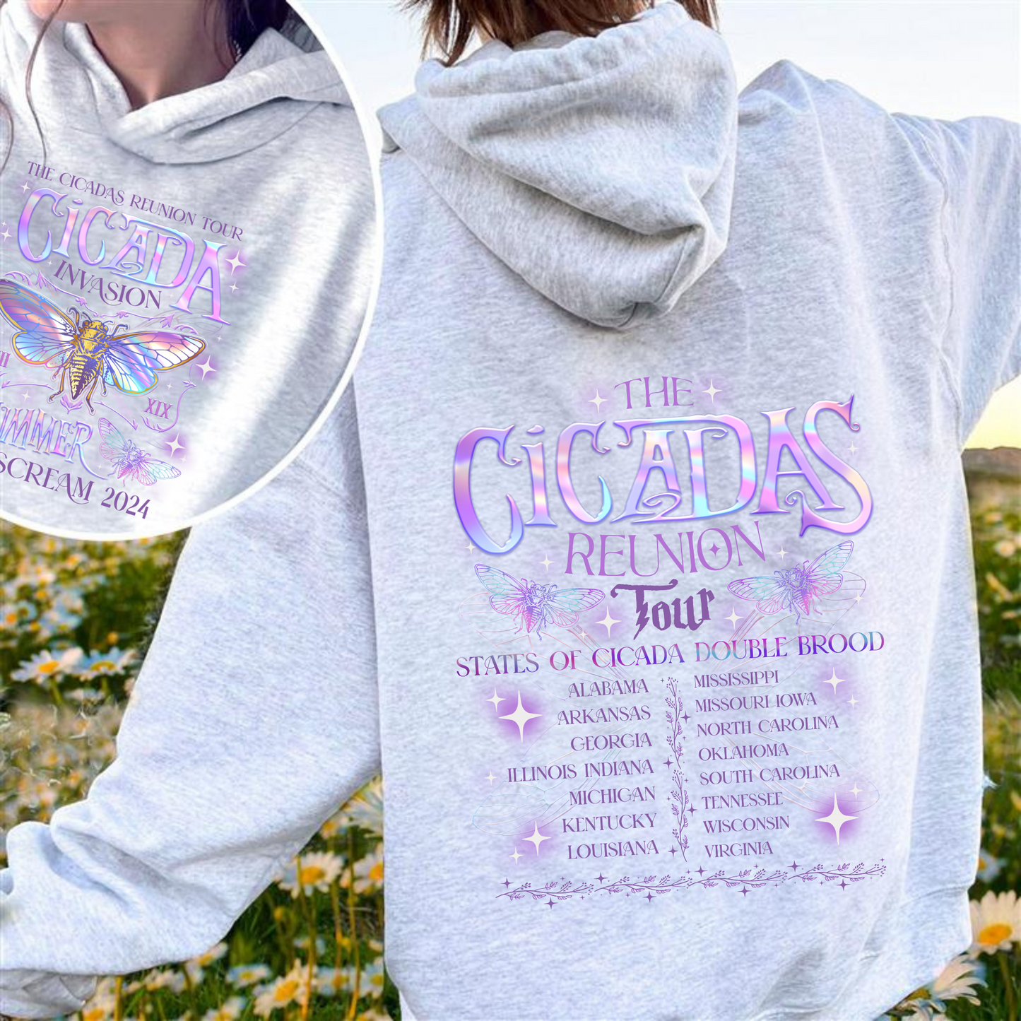 The Cicadas Reunion Tour Summer 2024 Hoodie, Year of the Cicada Hoodie, TNature Lover Gift, Year of the Cicada, Insect Lover