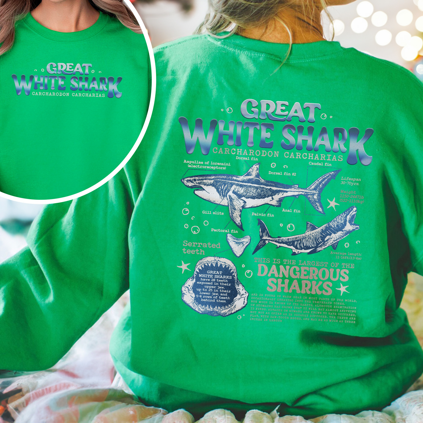 Great White Shark Anatomy Sweatshirt, Shark Sweatshirt, Great White Shark Biology, Great White Shark Drawing, Marine Biology Sweatshirt