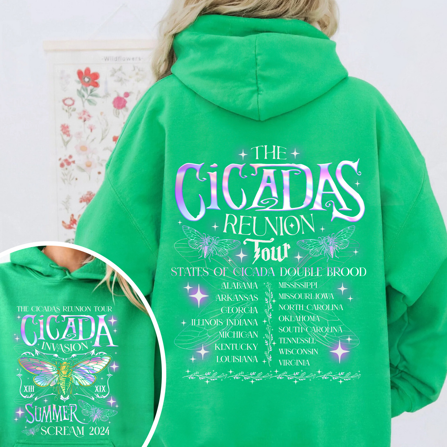 The Cicadas Reunion Tour Summer 2024 Hoodie, Year of the Cicada Hoodie, TNature Lover Gift, Year of the Cicada, Insect Lover