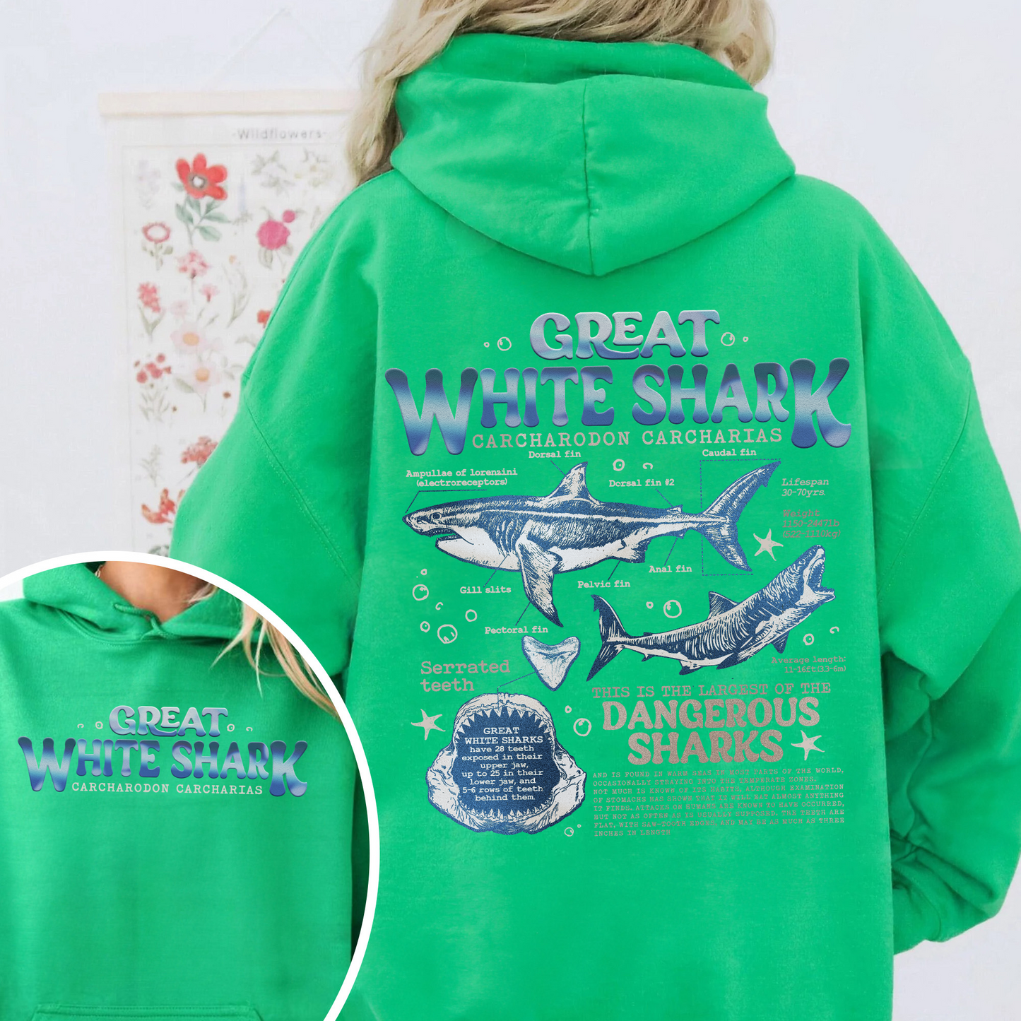 Great White Shark Anatomy Hoodie, Shark Hoodie, Great White Shark Biology, Great White Shark Drawing, Marine Biology Hoodie