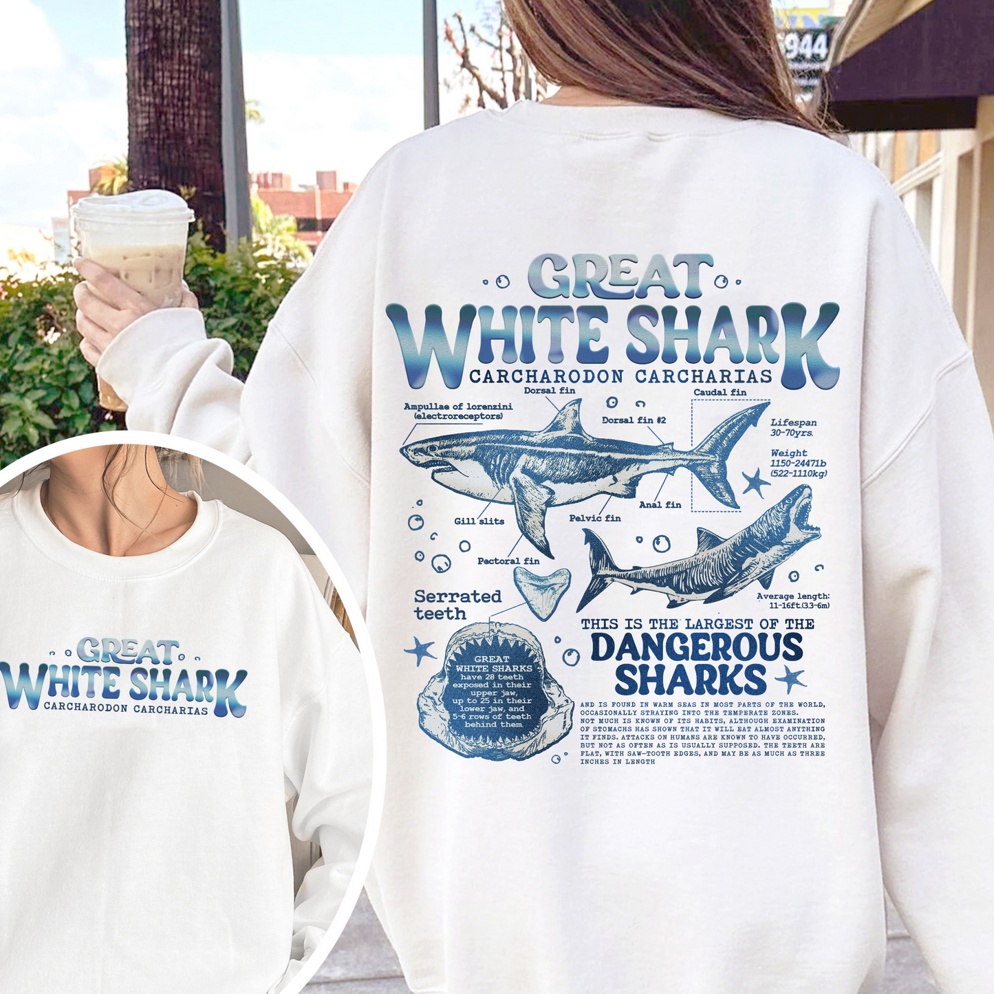 Great White Shark Anatomy Sweatshirt, Shark Sweatshirt, Great White Shark Biology, Great White Shark Drawing, Marine Biology Sweatshirt