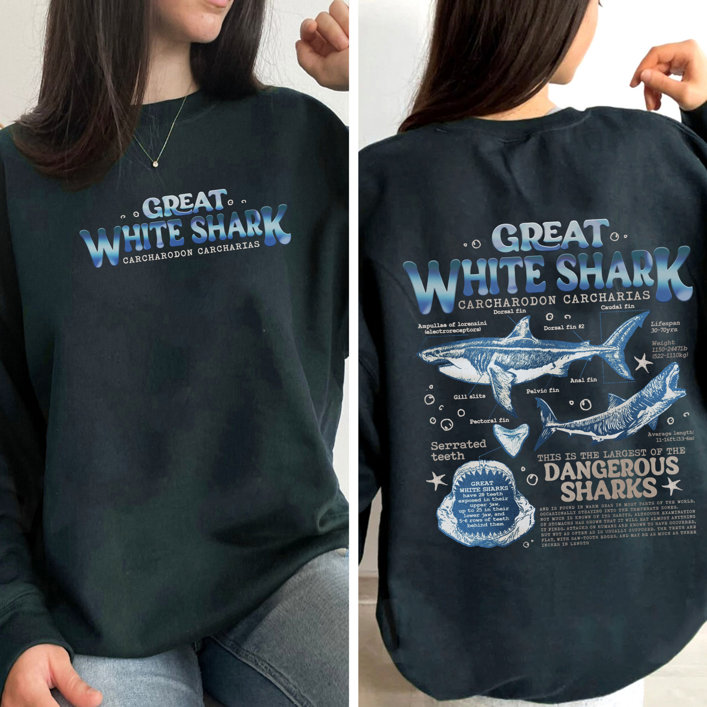 Great White Shark Anatomy Sweatshirt, Shark Sweatshirt, Great White Shark Biology, Great White Shark Drawing, Marine Biology Sweatshirt