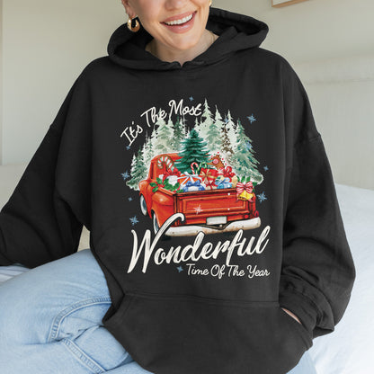 It’s The Most Wonderful Time Of The Year Chrismast Holiday Hoodie