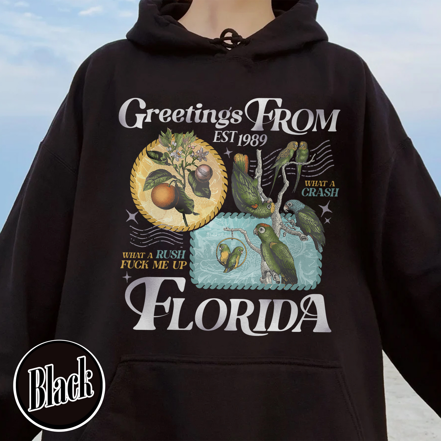 Florida!!! Hoodie, Palm Beach Hoodie, Girls Trip Hoodie, Trendy Summer, Ttpd Hoodie, Tropical Aesthetic Swiftie Gift, Summer Vibes