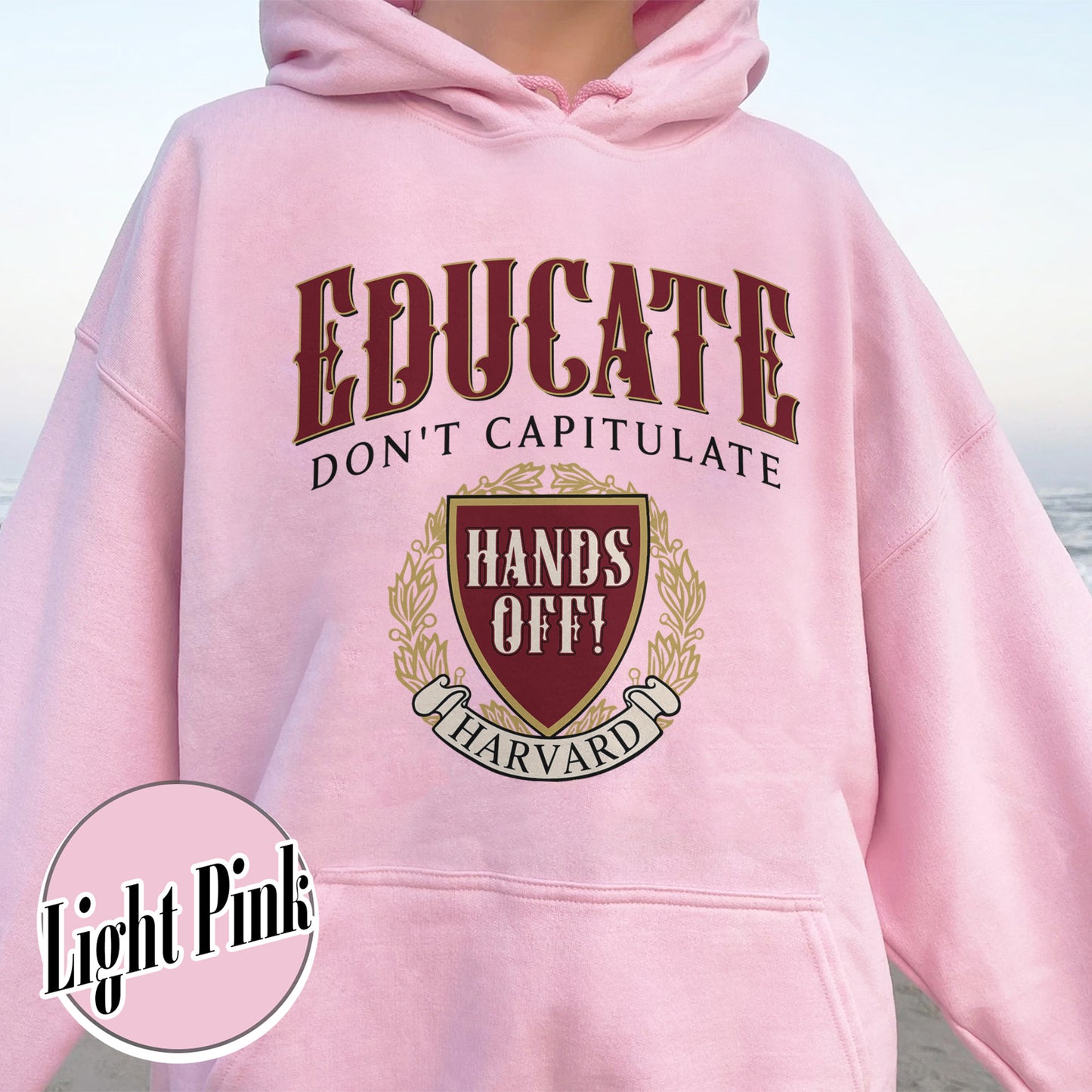 DEI Funding Cut Hoodie, Protect Higher Education Hoodie, Support Harvard Hoodie, FDT Hoodie