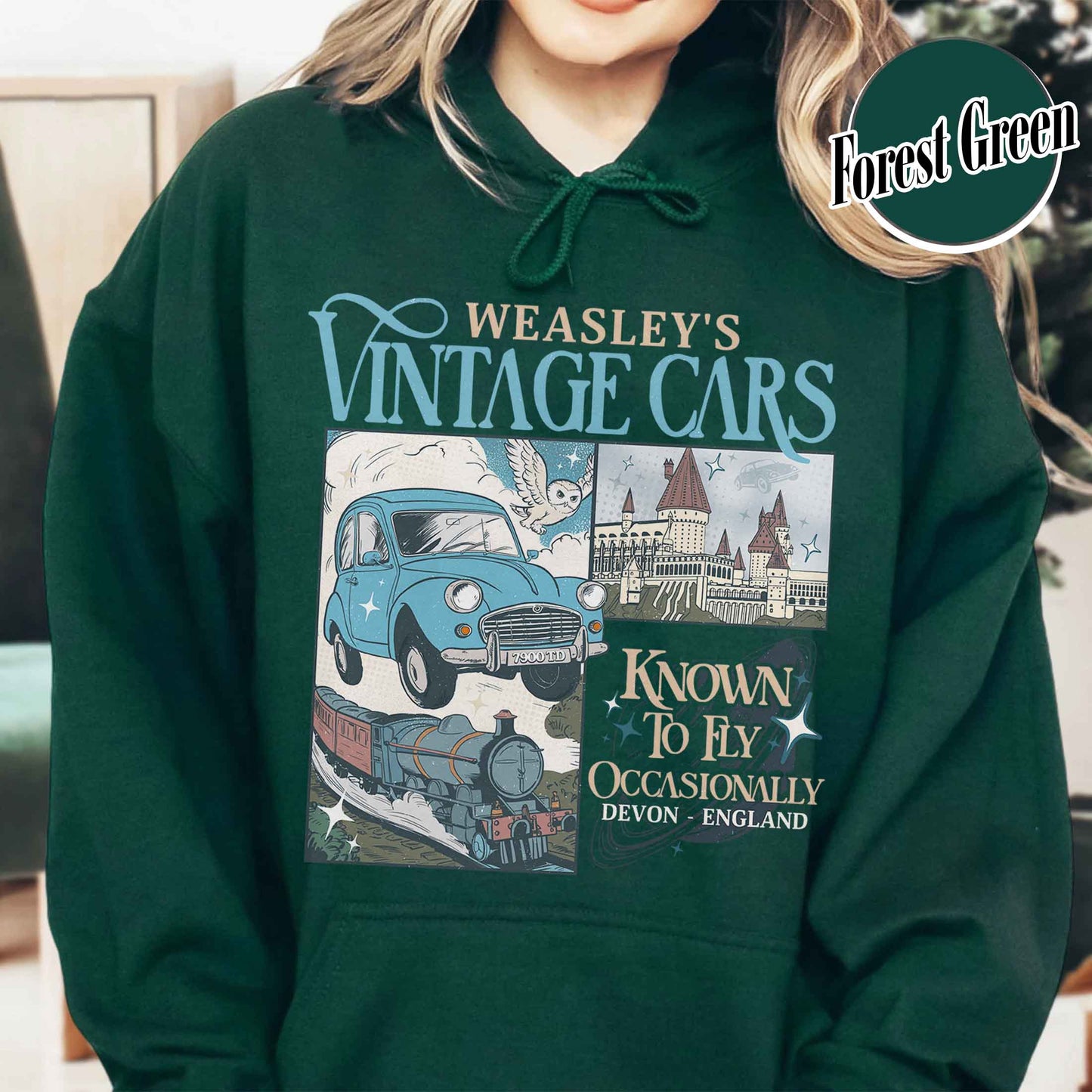 Bookish Hoodie, Wizard Flying Car Hoodie, Harry Potter Inspired Hoodie, Wizard School Hoodie