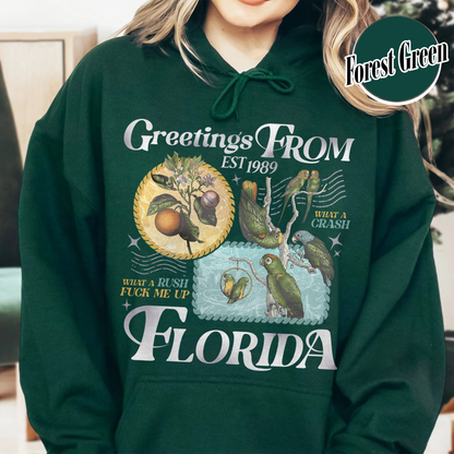 Florida!!! Hoodie, Palm Beach Hoodie, Girls Trip Hoodie, Trendy Summer, Ttpd Hoodie, Tropical Aesthetic Swiftie Gift, Summer Vibes
