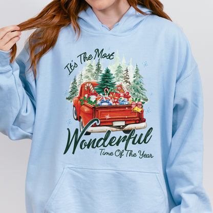 It’s The Most Wonderful Time Of The Year Chrismast Holiday Hoodie