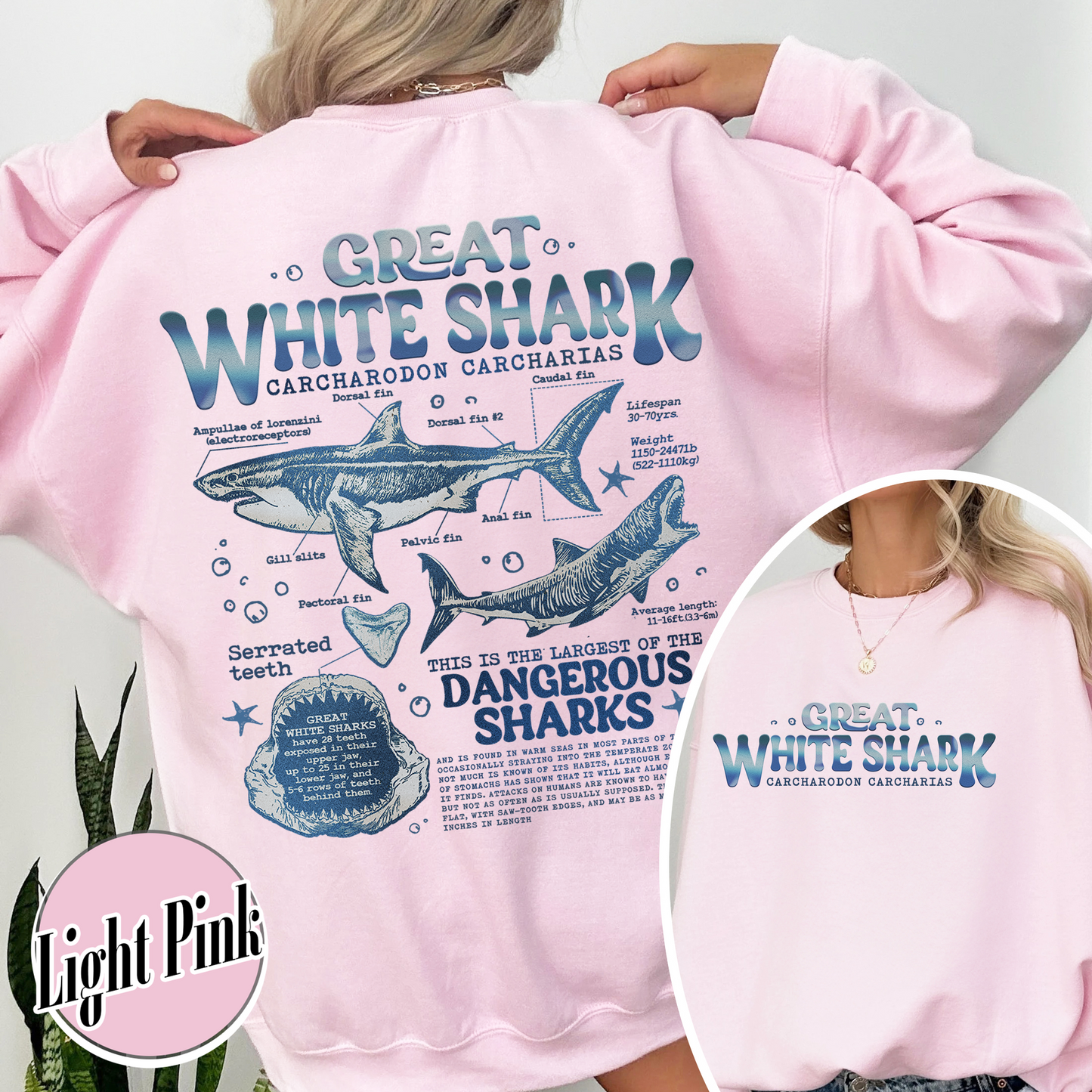 Great White Shark Anatomy Sweatshirt, Shark Sweatshirt, Great White Shark Biology, Great White Shark Drawing, Marine Biology Sweatshirt