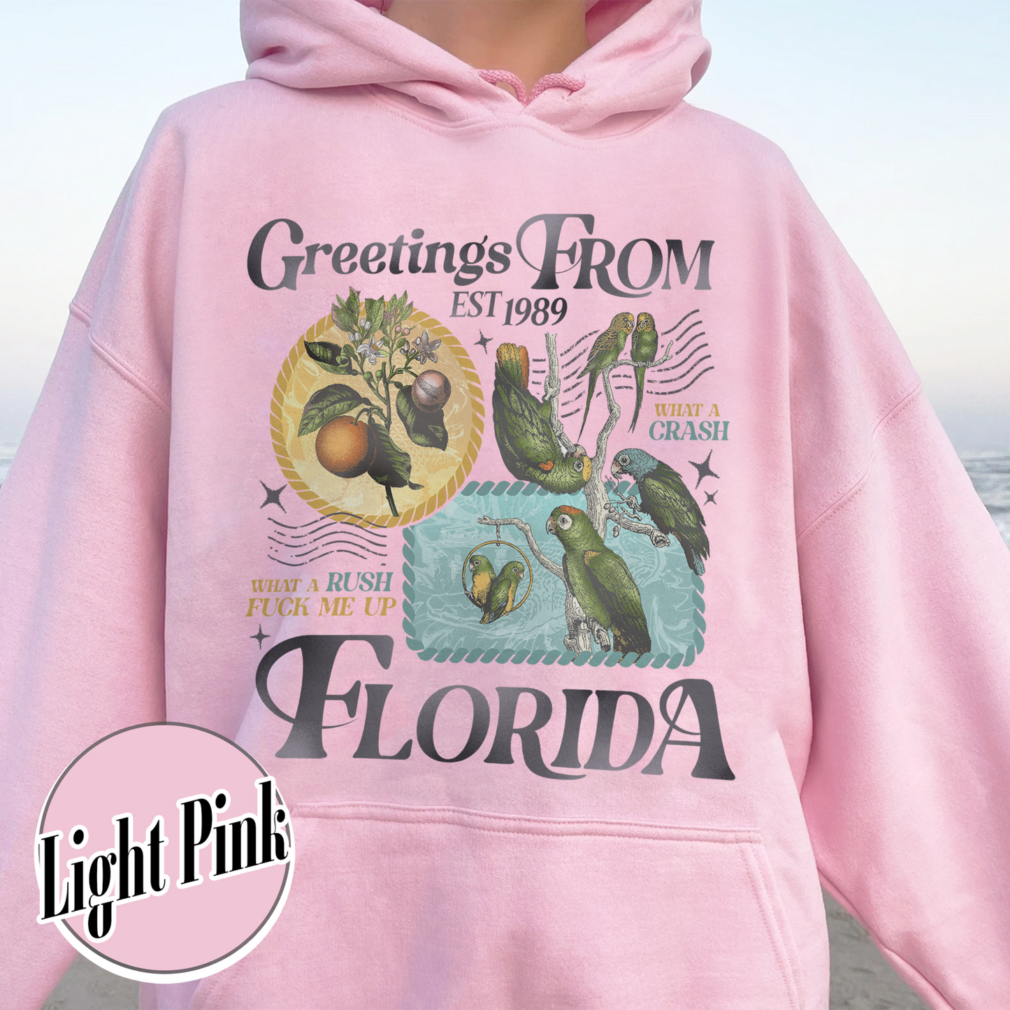 Florida!!! Hoodie, Palm Beach Hoodie, Girls Trip Hoodie, Trendy Summer, Ttpd Hoodie, Tropical Aesthetic Swiftie Gift, Summer Vibes