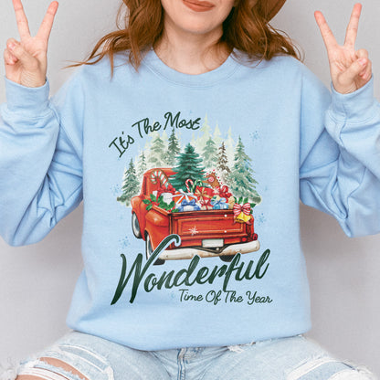 It’s The Most Wonderful Time Of The Year Chrismast Holiday Sweatshirt