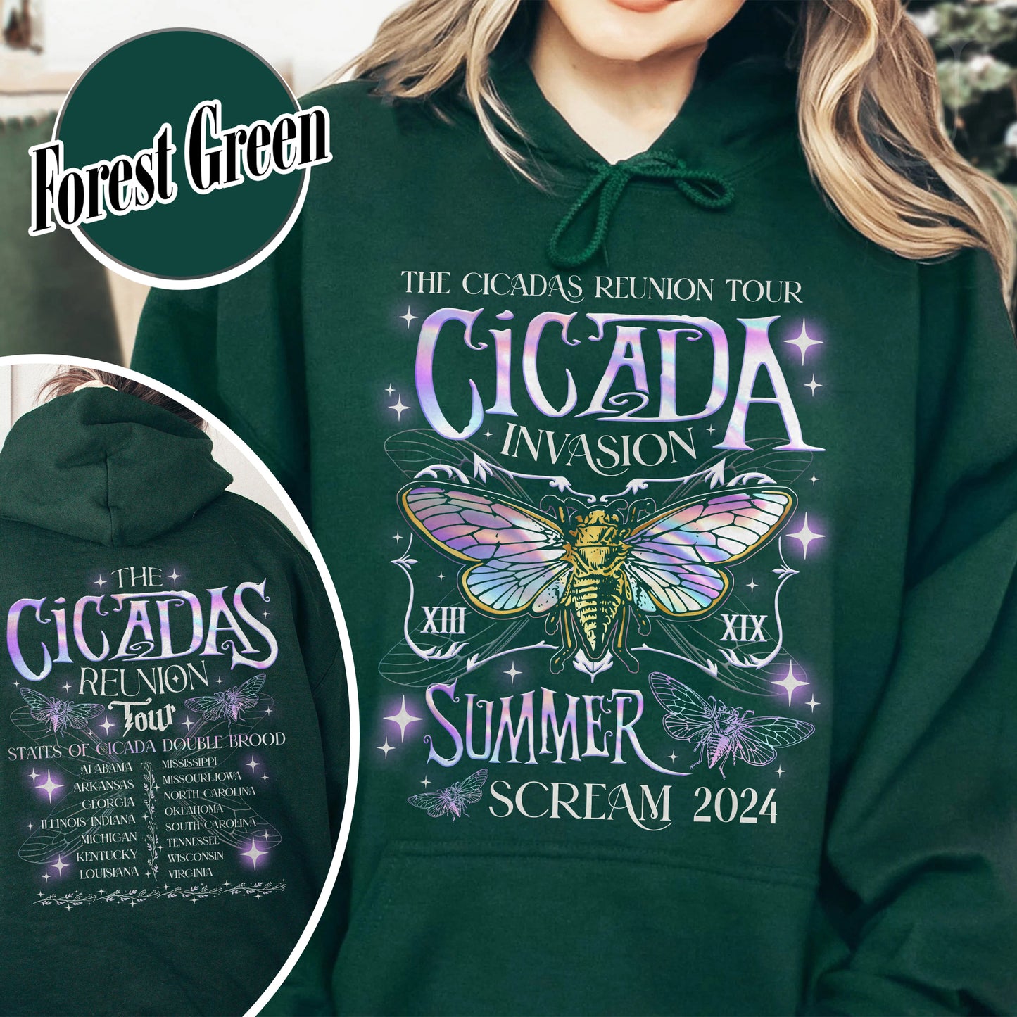 The Cicadas Reunion Tour Summer 2024 Hoodie, Year of the Cicada Hoodie, TNature Lover Gift, Year of the Cicada, Insect Lover