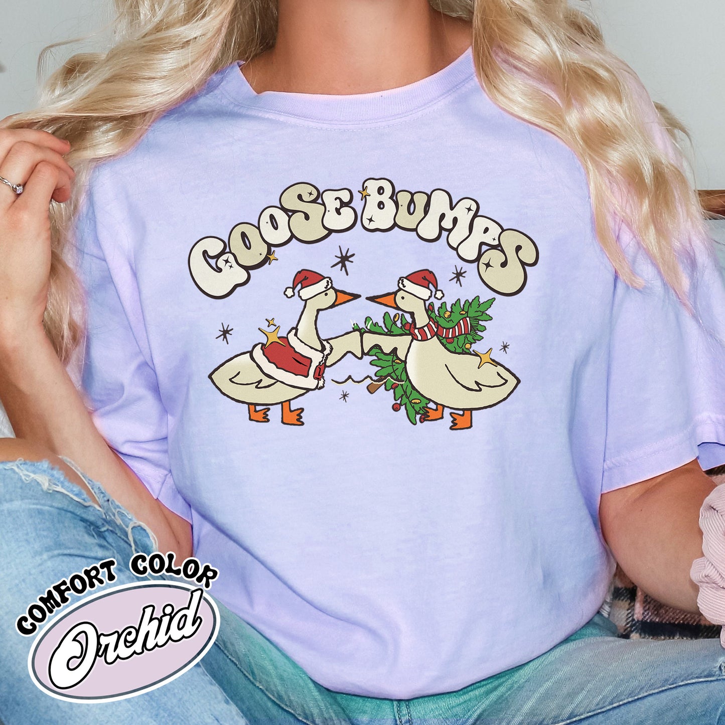 Silly Christmas Shirt, Serious Goose Funny Shirt, Cute Goose Shirt Gifts for Farm Girls, Aesthetic Meme Goose T-Shirt, Funny Goose Outfit