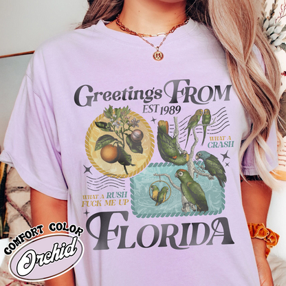 Florida!!! Comfort Colors® Shirt, Palm Beach Shirt, Girls Trip Tshirt, Trendy Summer Shirt, Ttpd Shirt, Tropical Aesthetic Swiftie Gift