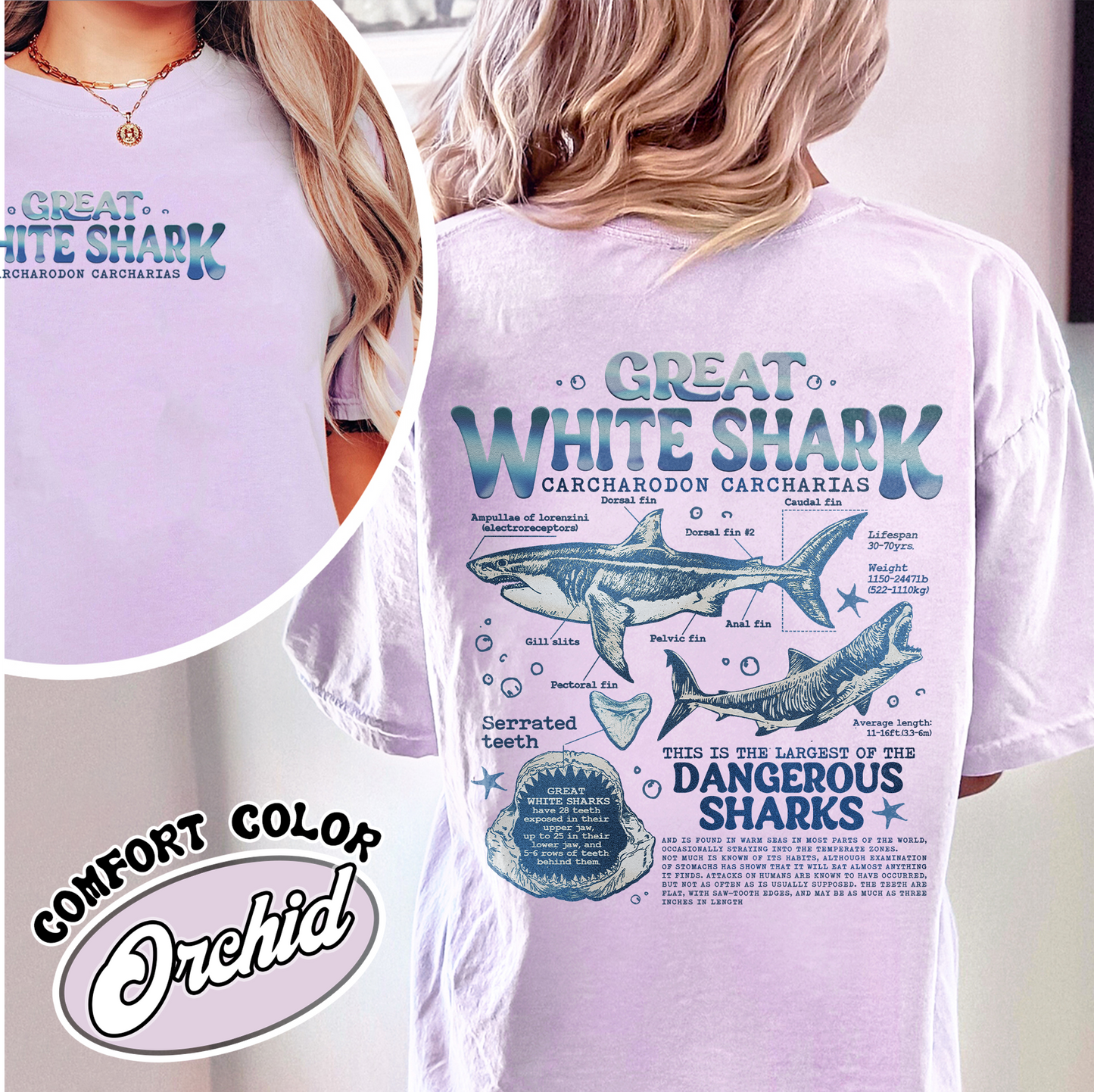 Great White Shark Anatomy Comfort Colors Shirt, Shark Shirt, Great White Shark Biology Shirt, Great White Shark Drawing,Marine Biology Shirt