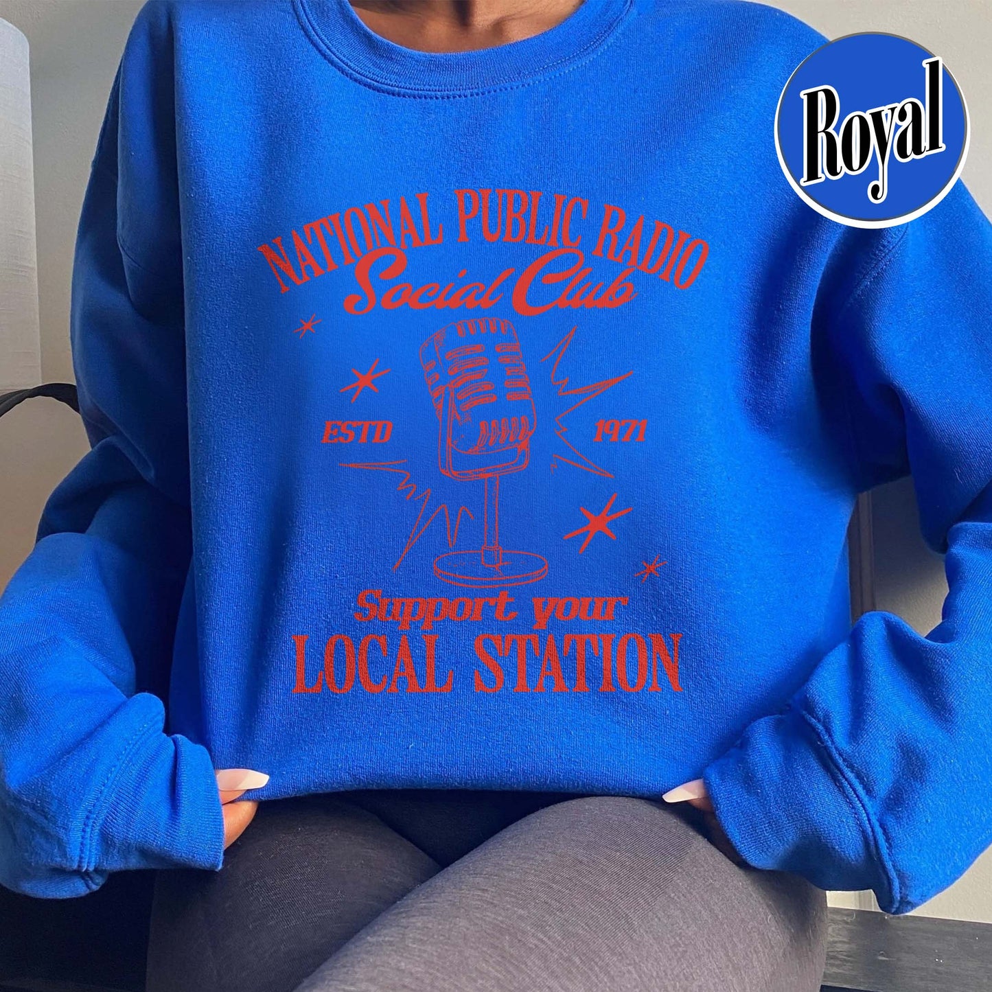 Political Protest Sweatshirt, Protect Public Broadcasting Local TV Sweatshirt, Support National Public Radio Sweatshirt