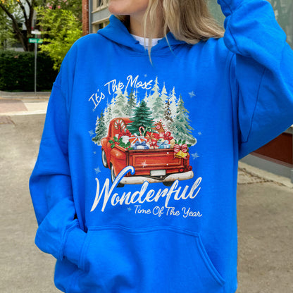 It’s The Most Wonderful Time Of The Year Chrismast Holiday Hoodie