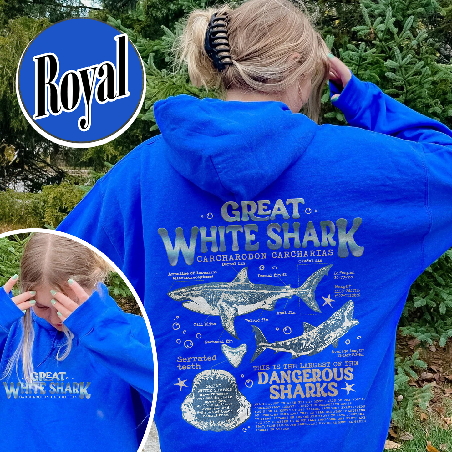 Great White Shark Anatomy Hoodie, Shark Hoodie, Great White Shark Biology, Great White Shark Drawing, Marine Biology Hoodie