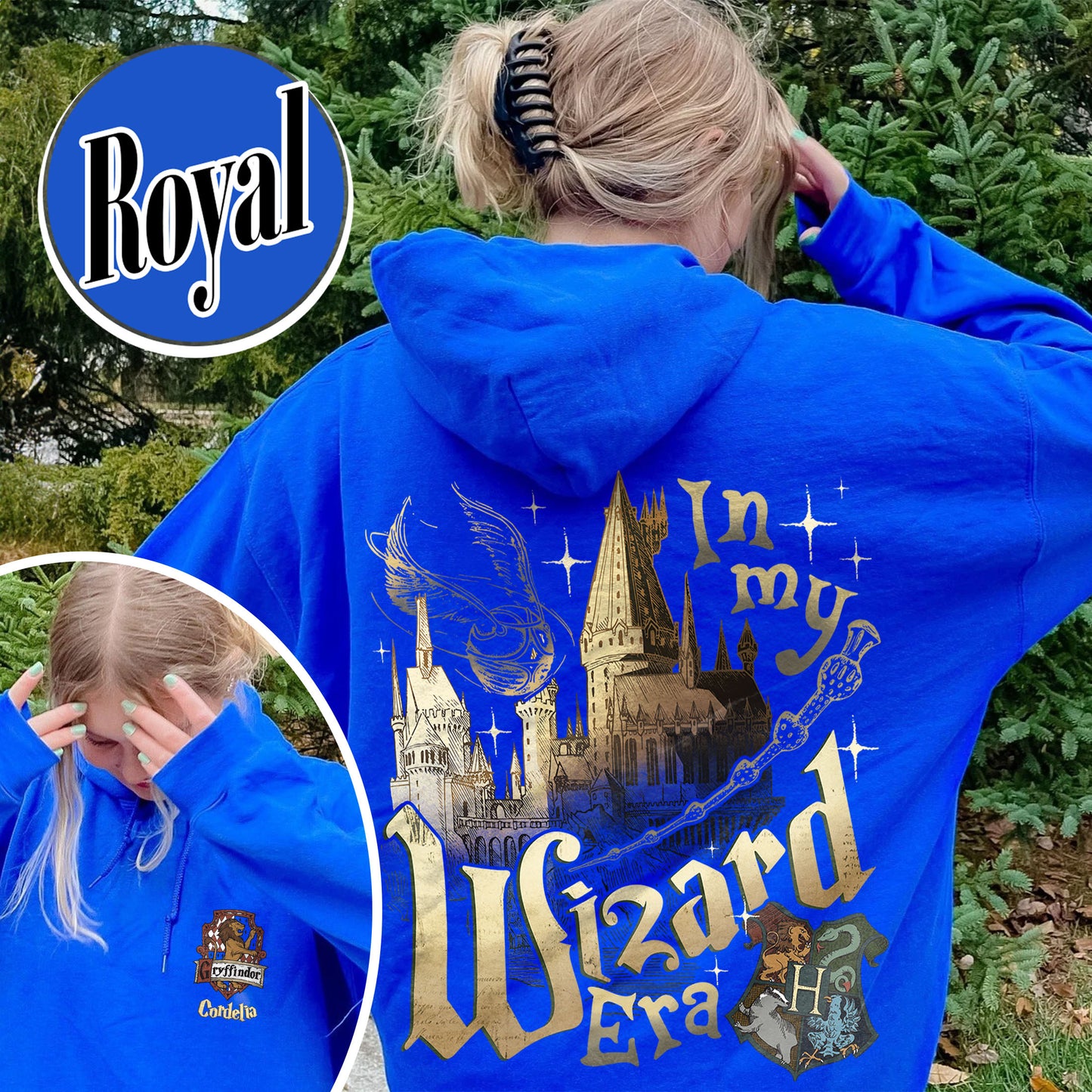 Harry Potter Hoodie, Custom Wizard Houses Hoodie, Wizard School House Hoodie, Fantasy Wizard Hoodie
