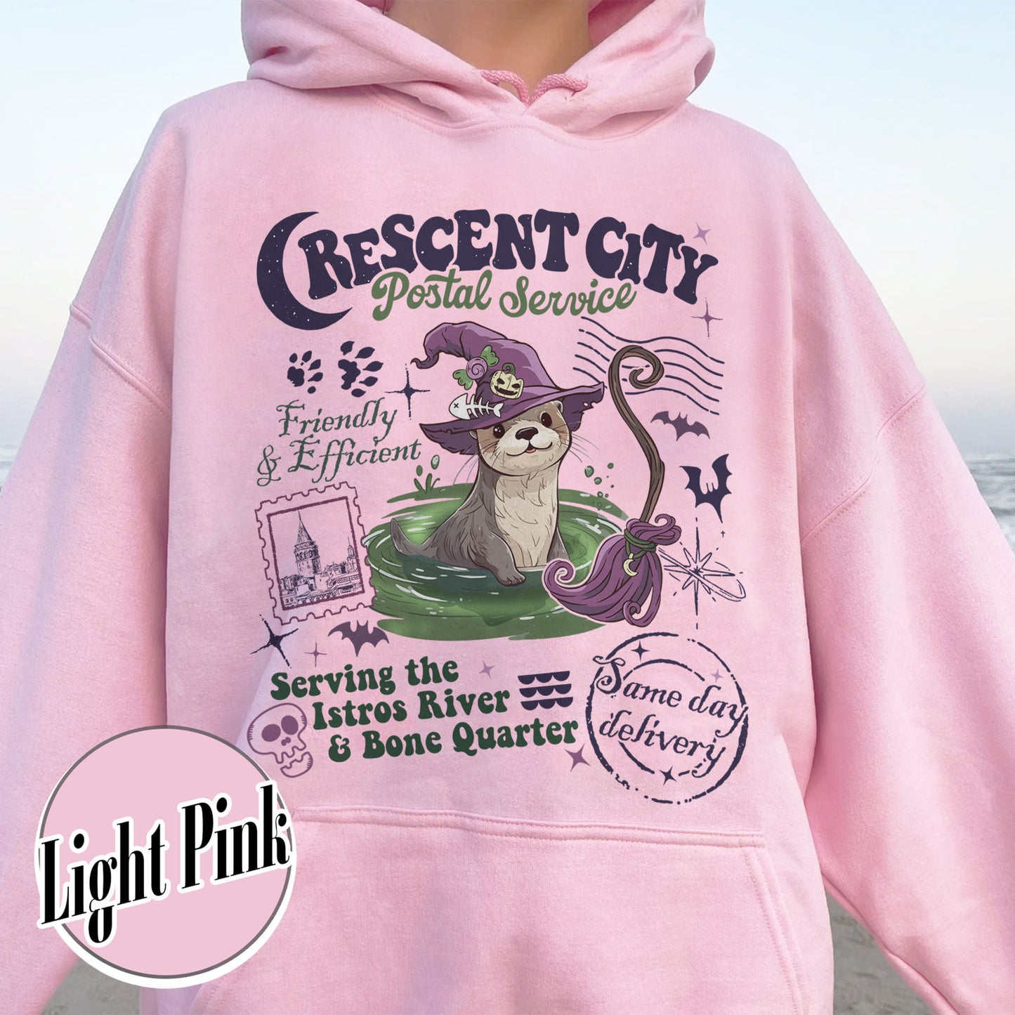 Bookish Hoodie, Crescent City Postal Service Hoodie, Read More Books Halloween Hoodie, SJM Merch