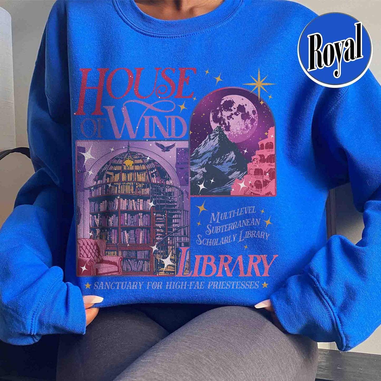 Bookish Sweatshirt, House of Wind Library Sweatshirt, Acotar Sweatshirt, Library Velaris Sweatshirt