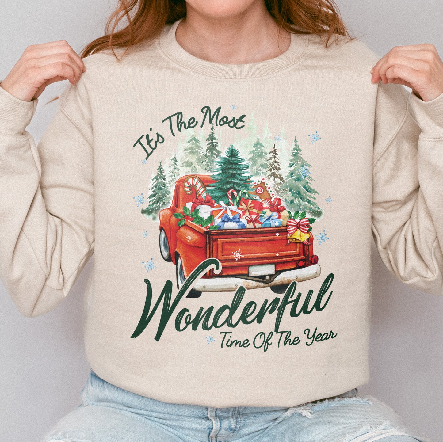 It’s The Most Wonderful Time Of The Year Chrismast Holiday Sweatshirt