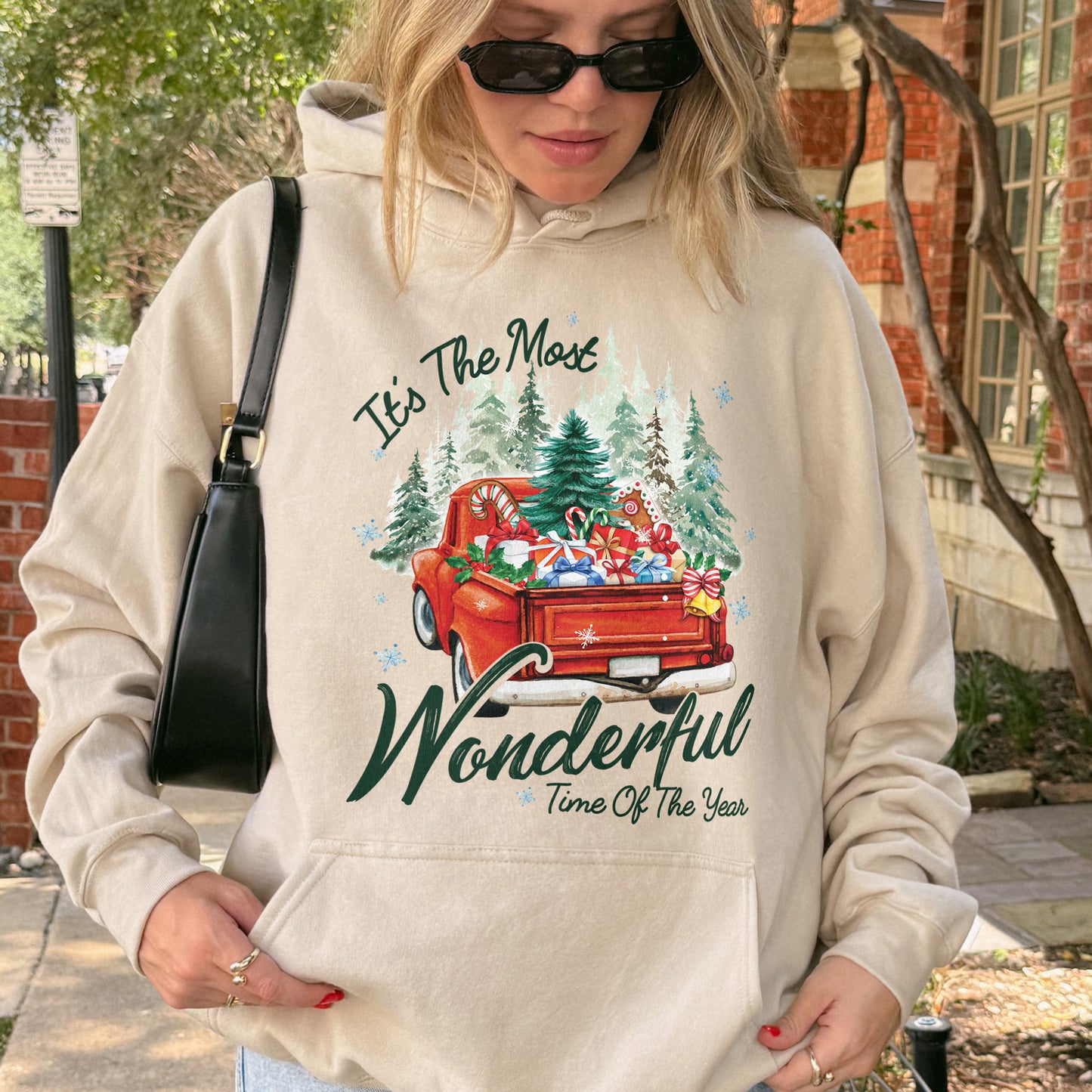 It’s The Most Wonderful Time Of The Year Chrismast Holiday Hoodie