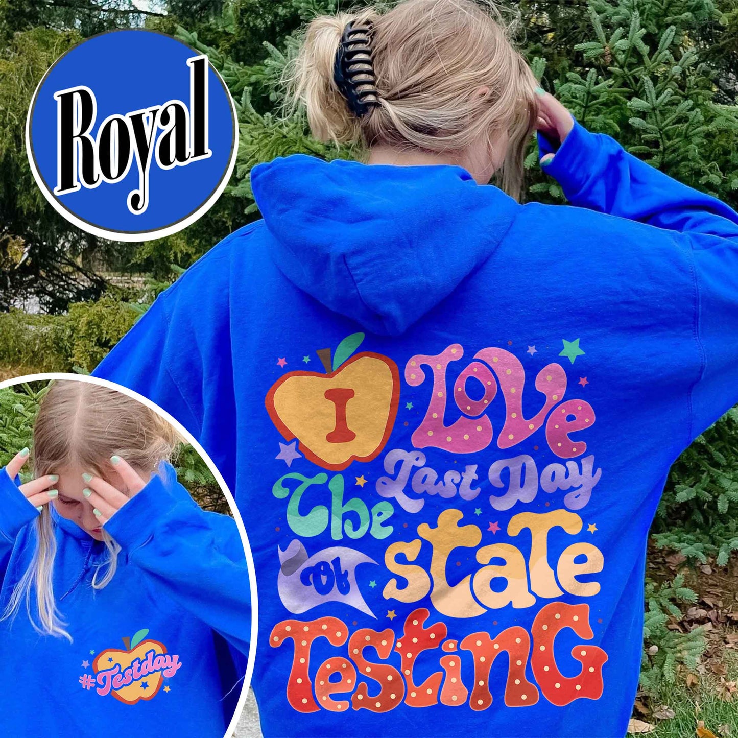 School Hoodie, I Love State Testing Hoodie, You Got This Hoodie, Back to School Hoodie