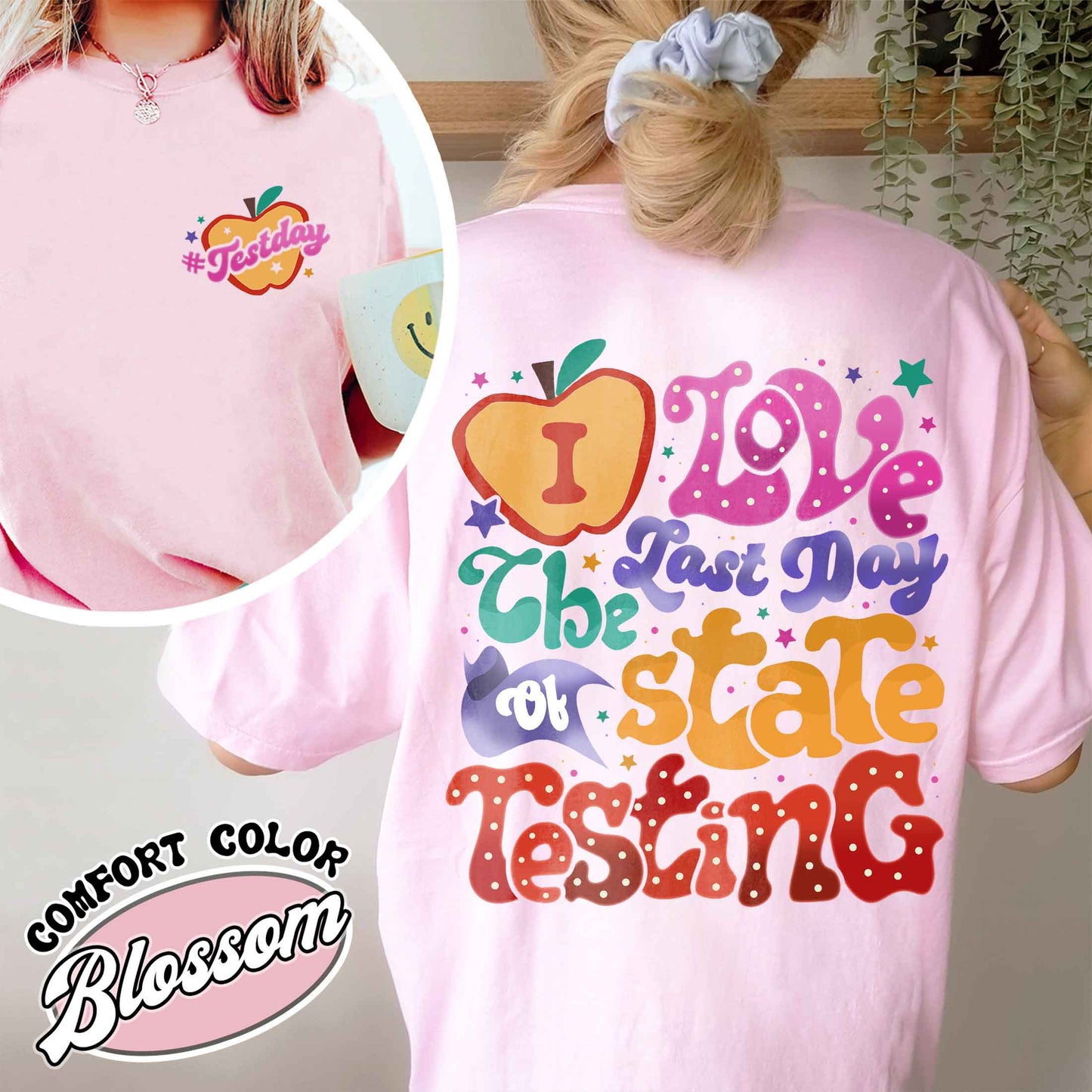 School Comfort Color Shirt, I Love State Testing Shirt, You Got This Shirt, Back to School Shirt