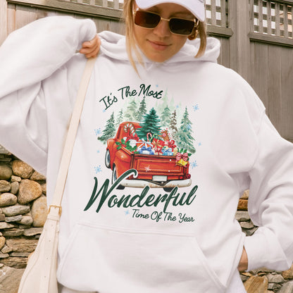 It’s The Most Wonderful Time Of The Year Chrismast Holiday Hoodie
