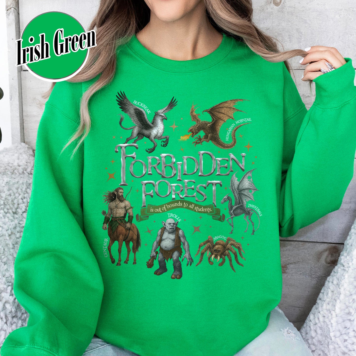 Wizarding World Sweatshirt, Forbidden Forest National Park Sweatshirt, HP Magical Creatures Inspired Sweatshirt