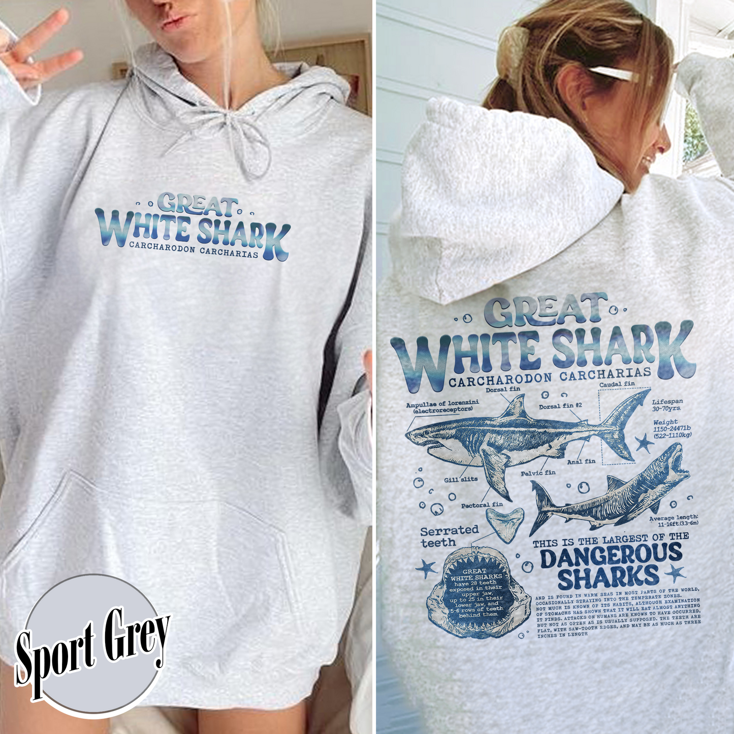 Great White Shark Anatomy Hoodie, Shark Hoodie, Great White Shark Biology, Great White Shark Drawing, Marine Biology Hoodie